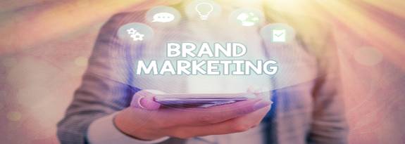 creative branding materials, joyful, arranging print samples, photorealistic, design studio with colorful posters, highly detailed, spread out artworks, superfine resolution, pastel colors with warm accents, diffused natural light, shot with a 24mm lens.